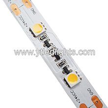 5050 Constant Current LED Strip Lights 40led/m 24V 10mm width