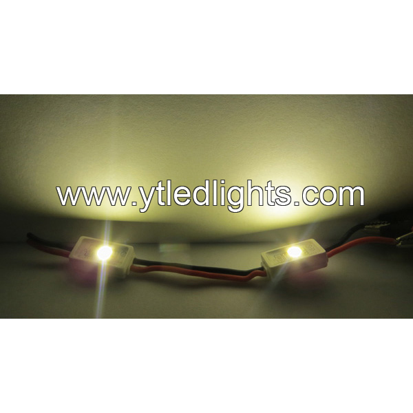 LED-module-0.24W-1led-5050-smd-12V-IP65-injection-module