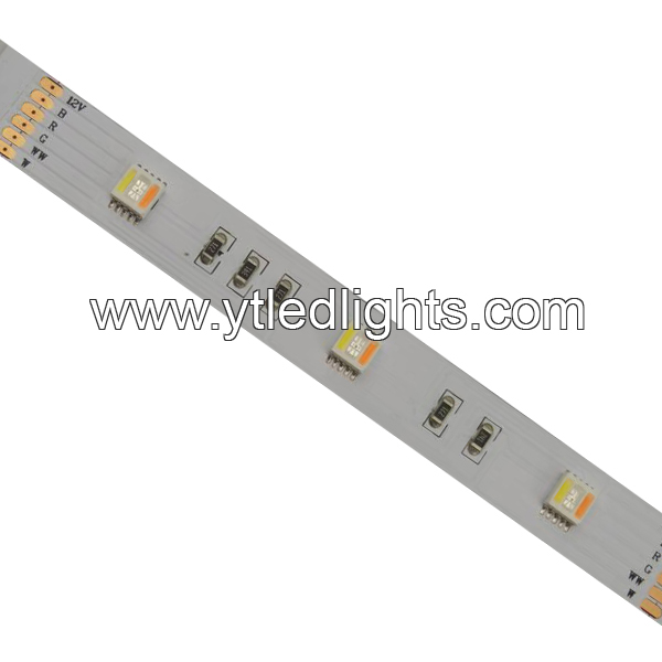 5050 RGBWW led strip lights 5 chips in one LED 30led/m 12V 12mm width