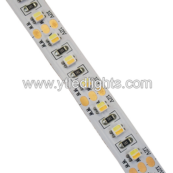 3528 Color Temperature Adjustable LED Strip Lights 120led/m 12V 10mm width 2 chips in one led