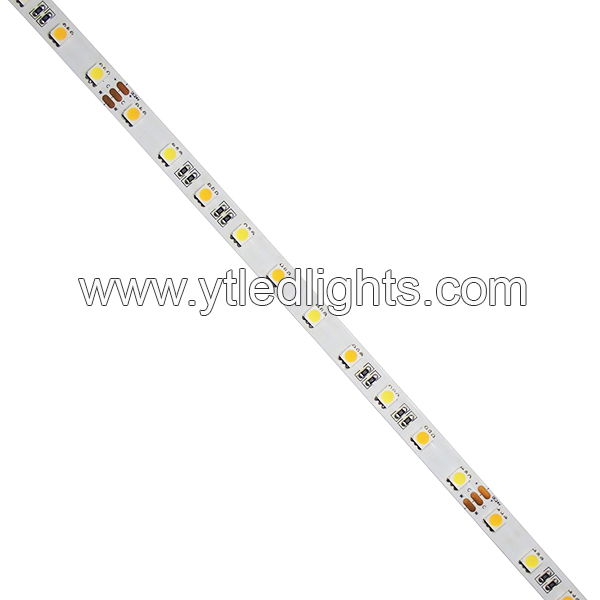 5050 Color Temperature Adjustable LED Strip Lights 60led/m 24V 10mm width
